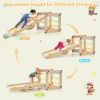 Climbing Triangle Ladder Toy Indoor Jungle Gym with Reversible Ramp