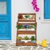 3-Tier Acacia Wood Plant Stand, Foldable Compact Indoor/Outdoor Display Rack for Plants and Decorative Items