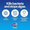 Clorox Pool&Spa XtraBlue 1" Chlorinating Tablets for Swimming Pools